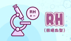 屬兔熊貓型血的性格特點(diǎn) 屬兔熊貓型血的男女性格特點(diǎn)