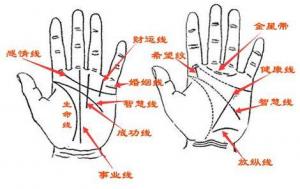 手相怎么看愛情，哪種手相的人不懂浪漫？