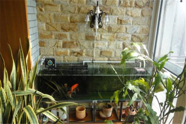 魚(yú)缸擺放風(fēng)水