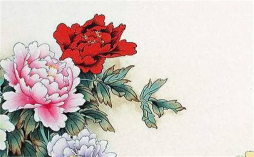 招財(cái)招桃花的手機(jī)號 怎么選手機(jī)號碼旺自己