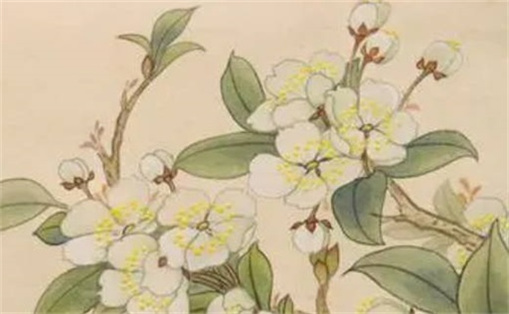 易經(jīng)中最好的三個數(shù)字 電話號碼選什么數(shù)字好財運(yùn)