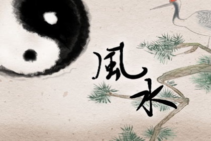 車(chē)牌號(hào)4代表什么含義 吉利的二位數(shù)組合