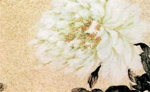 男人不能用的號(hào)碼尾數(shù) 手機(jī)號(hào)最好的磁場(chǎng)組合