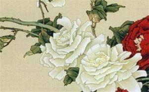 尾號5556手機(jī)號寓意什么 手機(jī)號碼尾數(shù)什么數(shù)字好