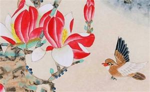 5557尾號是不是靚號 手機(jī)號1122好嗎