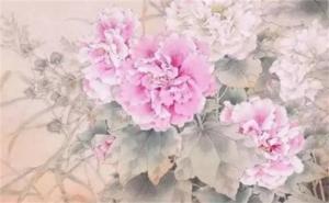 手機(jī)尾號為00代表什么 手機(jī)尾號5555代表什么