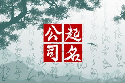 2024龍年新潮的計(jì)算機(jī)公司名字