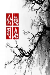2024年好聽又聚財(cái)?shù)膭趧?wù)公司名字