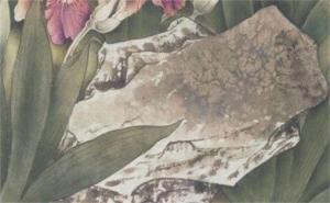 手機(jī)尾號11111好不好 號碼5678和1111哪個好