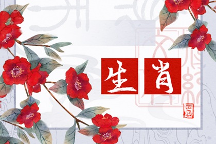 愚蠢至極的生肖女，誰的表現(xiàn)最讓人失望