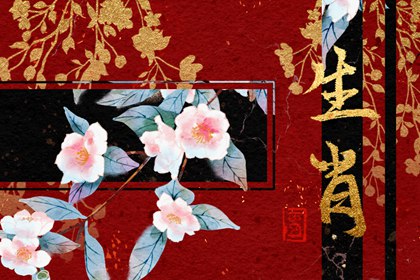 讓人不敢惹的生肖女，強(qiáng)勢(shì)氣場(chǎng)無(wú)人能敵