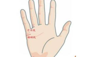 女生手相怎么看有幾個(gè)孩子