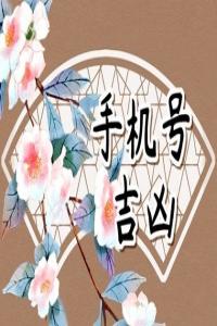 號(hào)碼吉兇測(cè)算,絕命磁場(chǎng)加伏位磁場(chǎng)，讓你兢兢業(yè)業(yè)還缺錢。