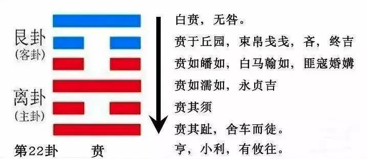 2023年10月22日十二生肖運(yùn)勢揭秘來啦