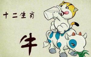 屬牛2024年整體運勢，屬牛2024年的運勢及運程！