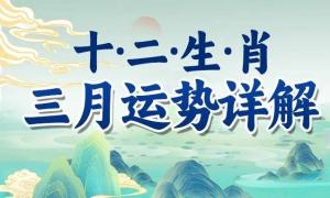 2024年3月十二生肖運(yùn)勢(shì)及運(yùn)程詳解