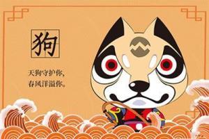 屬狗2024年整體運(yùn)勢(shì)，屬狗2024年的運(yùn)勢(shì)及運(yùn)程！