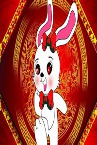 屬兔的和什么屬相相克？