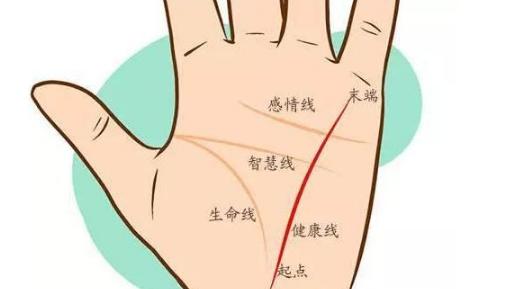 女人手相事業(yè)線圖解大全，女人手相事業(yè)線怎么看？