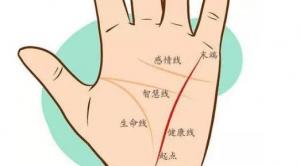 女人手相事業(yè)線圖解大全，女人手相事業(yè)線怎么看？