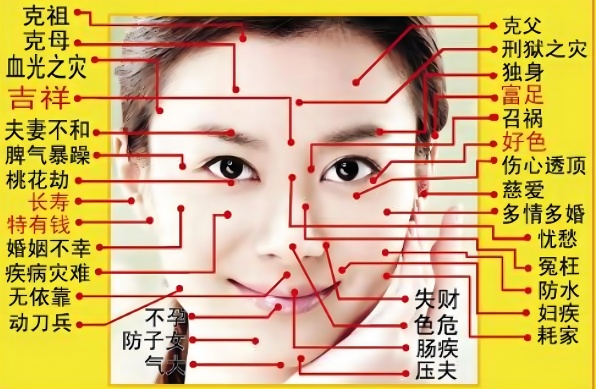 女人臉部痣的位置與命運圖解