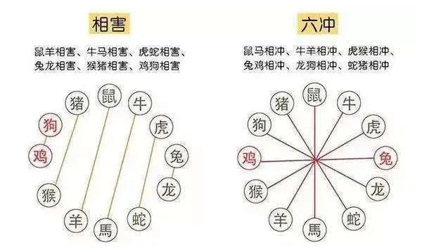 生肖相沖真的不能在一起嗎，怎么化解？