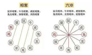 生肖相沖真的不能在一起嗎，怎么化解？