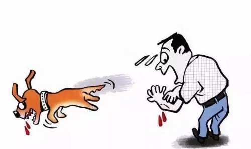 夢見被夠狗咬出血了預示著什么