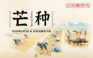 卜算子算命網(wǎng)