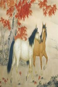 屬馬人2024年全年運(yùn)勢(shì)運(yùn)程，屬馬人2024年每月運(yùn)勢(shì)運(yùn)程！