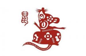 屬鼠人2024年全年運(yùn)勢運(yùn)程，屬鼠人2024年每月運(yùn)勢運(yùn)程！