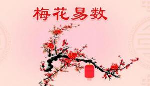 梅花易數(shù)是怎么回事？