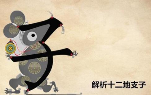 十二地支子是什么意思，五行屬什么？