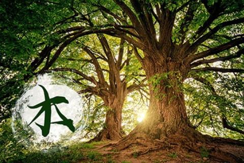 五行缺木怎么補(bǔ)的常規(guī)方式是什么？