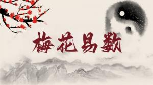 梅花易數(shù)零基礎(chǔ)入門教學(xué)