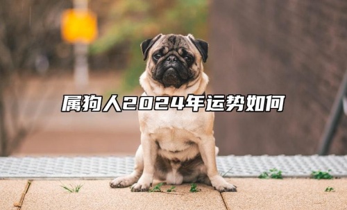 屬狗人2024年全年運(yùn)勢運(yùn)程，屬狗人2024年每月運(yùn)勢及運(yùn)程詳解！