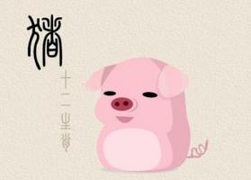 屬豬的是哪年出生的
