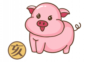 屬豬人2024年全年運(yùn)勢(shì)及運(yùn)程，屬豬人2024年每月運(yùn)勢(shì)及運(yùn)程！