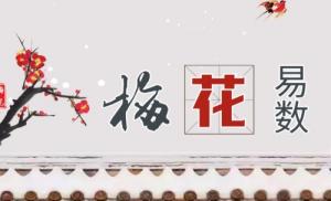 梅花易數(shù)預(yù)測心法十八訣解析