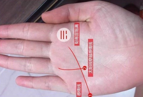 無(wú)名指下面的豎線代表什么