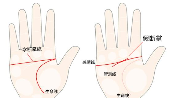 斷掌紋的男人有什么說法