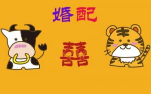 屬牛的和屬虎的相配嗎