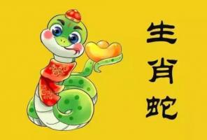 2025年屬蛇人的全年運勢詳解