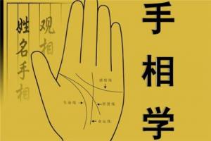 手相入門基礎知識大全
