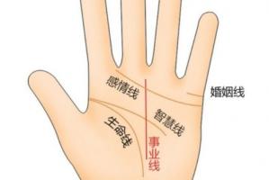 事業(yè)線是指女人的哪個(gè)部位?