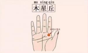 木星丘凸起有什么寓意和象征
