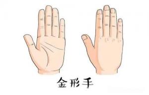 金形手相特征是什么樣子