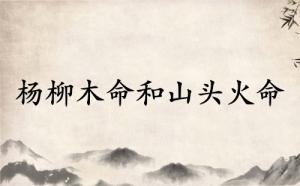 楊柳木命和山頭火命相配嗎