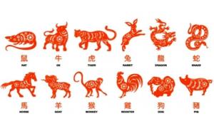 十二生肖哪個(gè)生肖命最好