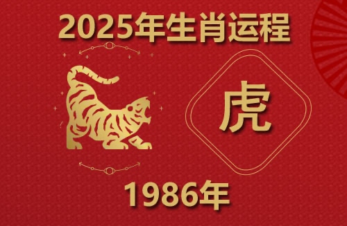 2025年屬虎人的全年運(yùn)勢1986出生